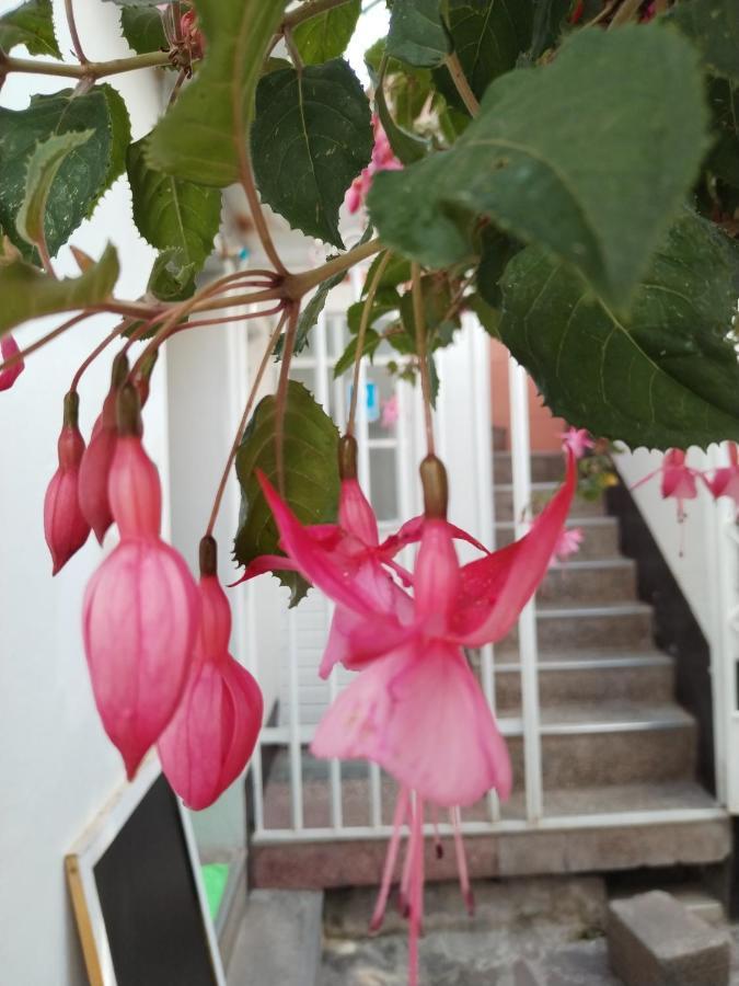 Cusco Vista Guest House 외부 사진