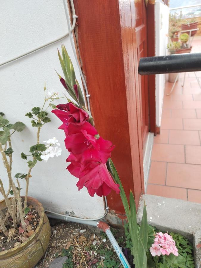 Cusco Vista Guest House 외부 사진